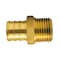 Apollo 3/4 in. Brass PEX Barb x 1/2 in. Male Pipe Thread Reducing Adapter APXMA1234 - alternate 4